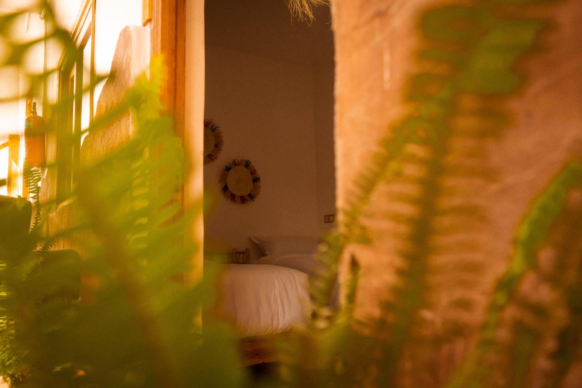 Single Fin Taghazout Surf & Stay Exterior photo