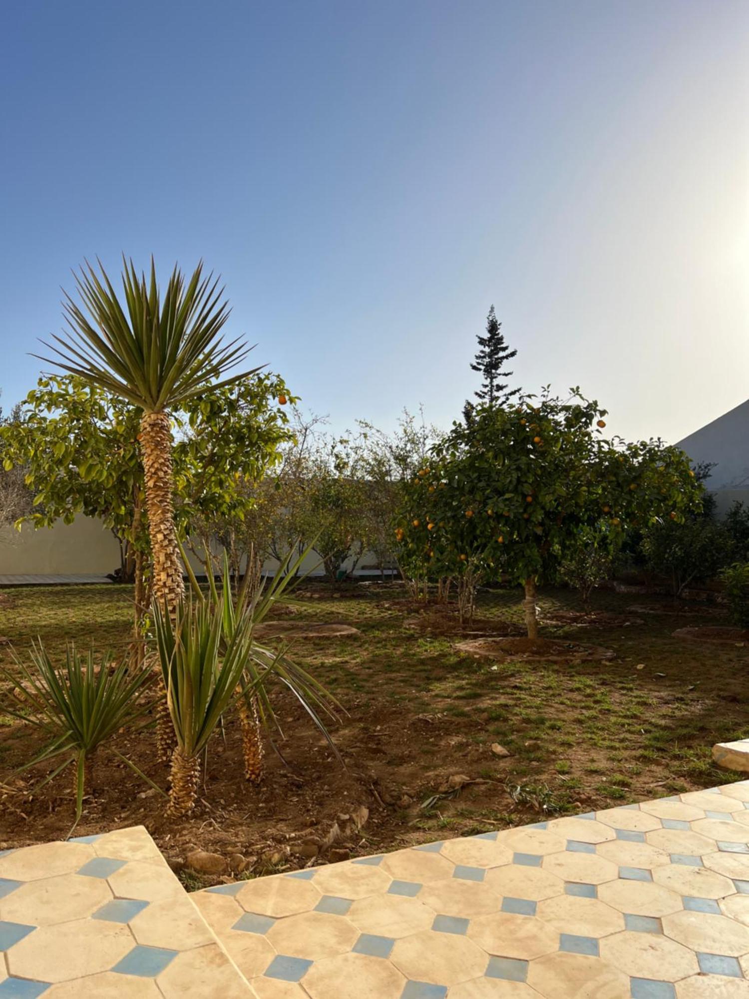 Single Fin Taghazout Surf & Stay Exterior photo